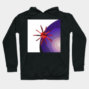 Space Scout Hoodie